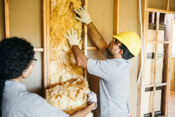 Best Residential Insulation Services  in Hudson, PA